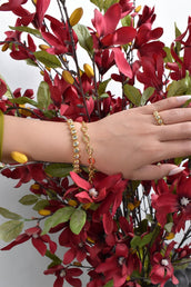Lariah Set 2bracelets+Ring 3