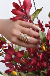 Amadora 2Tone Ring 2